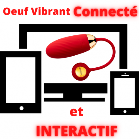 Oeuf Vibrant Connecté et Interactif pour Vagin ou Anus - Rechargeable et Waterproof - Ella Neo