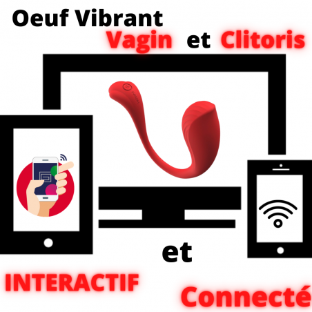 Oeuf Vibrant Connecté et Interactif pour Point G et Clitoris - Waterproof et Rechargeable - Phoenix Neo