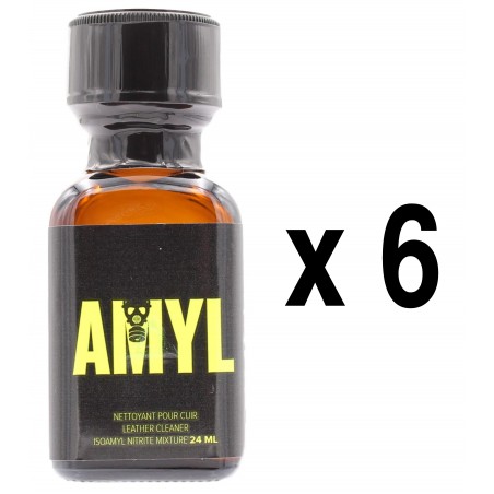 Poppers Amyl - 24mL - Pack de 6 Flacons
