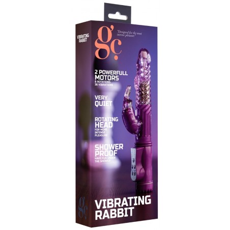 Vibro Rabbit Rotatif - Vibe Coin - 23cm - Violet