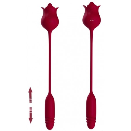 Stimulateur Clitoridien / Vibromasseur - Dwich Rouge - Langue Et Œuf Vibrant - USB - De 10 à 11,5 cm / Ø 3 cm - My Play Toys