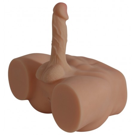 Fessier Dandy Boy Chocolat Avec Pénis Articulé 14 cm / Ø 4 cm - Entrée Anus - 31 cm / 23 cm / 23 cm - MySexPartner