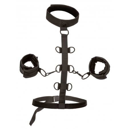 Collar Body Restraint Boundless Noir - Collier /Menottes Poignets Amovibles /Bande Centrale /6 Anneaux /Ceinture - Calecotics