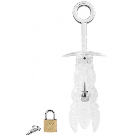 Plug Anal De Chasteté Expand Lock - Cadenas - Clés - ABS Transparent - 13 Cm / 5 Cm - Fukr