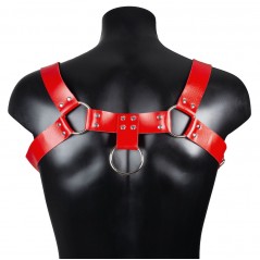 Harnais Pour Homme Harnis - Simili Cuir Rouge - Sangles Réglables - Rivets Et Anneaux Métalliques - Du S Au XL - BDSMaster