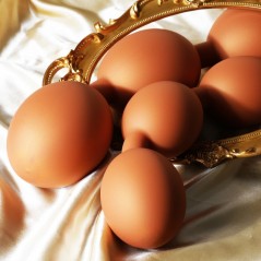 Chapelet Anal Bolz S Orange - Taille Small - 8 Boules Souples - Flexible - Etanche - 46 cm / Ø 3,7 cm - TheAssGasm