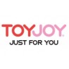 Just for You TOYJOY