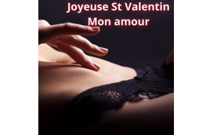 
			                        			Bonne saint valentin